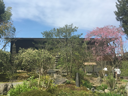 桜20150404bS.jpg