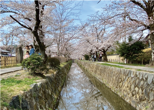 桜20210327BS.jpg