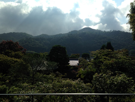 白沙村荘 橋本関雪記念館MUSEUM開館３.jpg