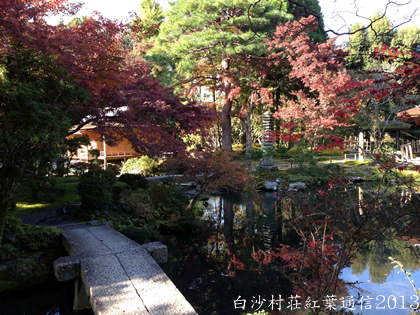 紅葉通信20131118b.jpg