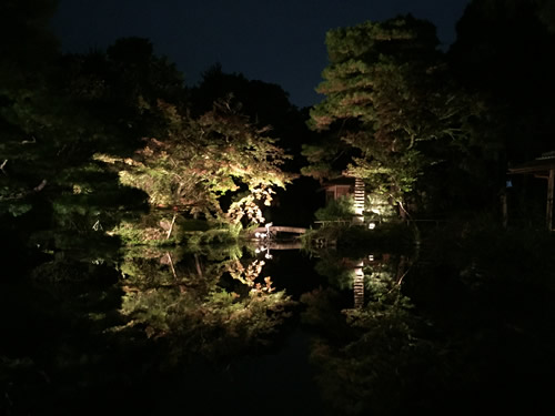 紅葉20141108aS.jpg