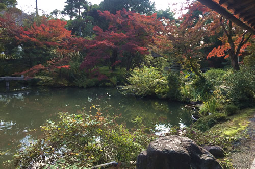 紅葉20161112AS.jpg