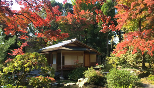 紅葉20161112BS.jpg